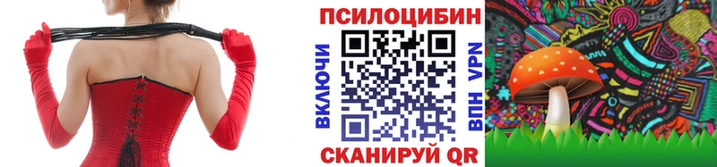 сколько стоит  Бикин  Галлюциногенные грибы мухоморы 